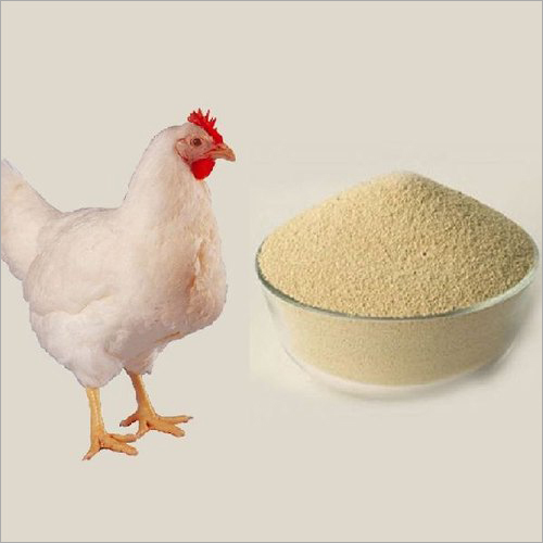 Poultry Feed Supplement - Liquid Nutrition Feeds | High Nutritional Value, Longer Shelf Life, Zero Side Effects