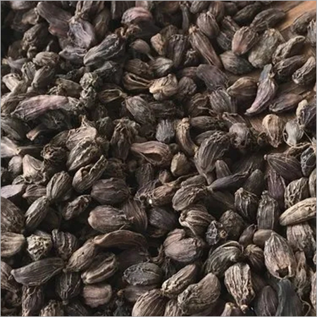 Long Cardamom