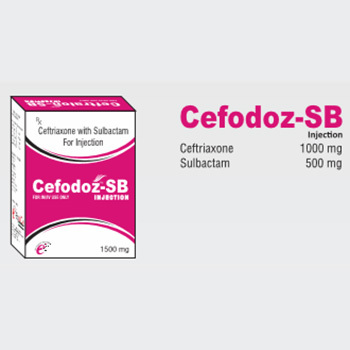 Cefodoz-SB Injection