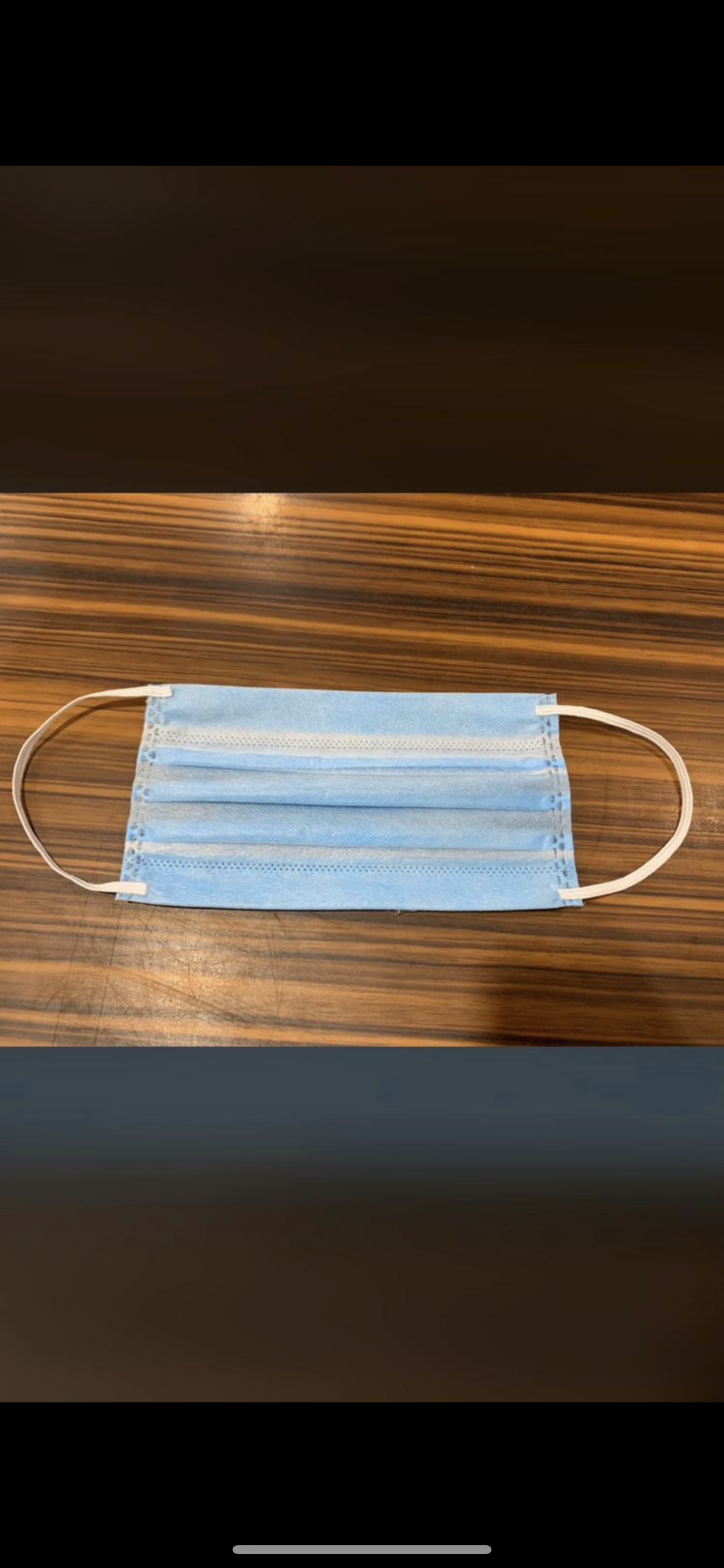 3ply Mask