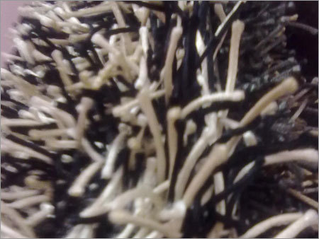 ऊन झबरा कालीन