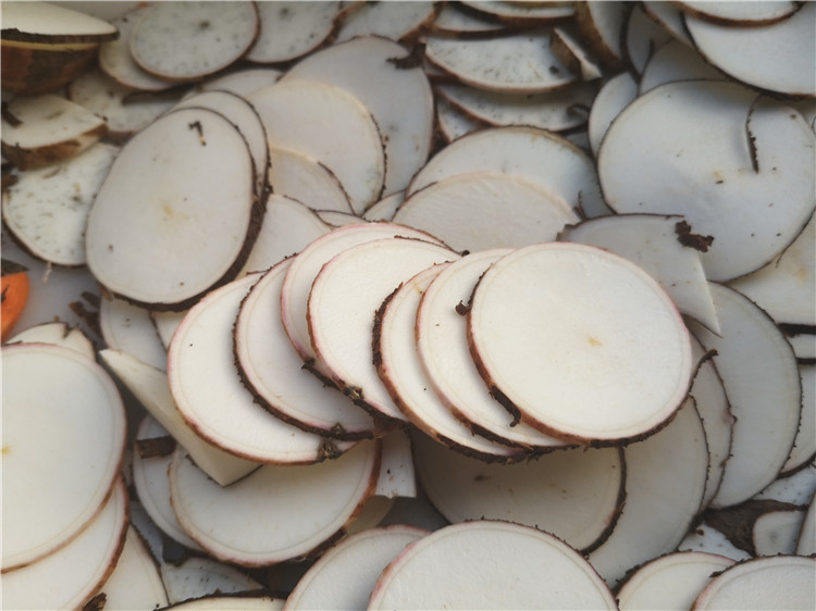 Fc-301 Cassava Cutting Machine Cassava Slicing Machine Cassava Chip Cutting Machine Capacity: 500-800 Kg/hr