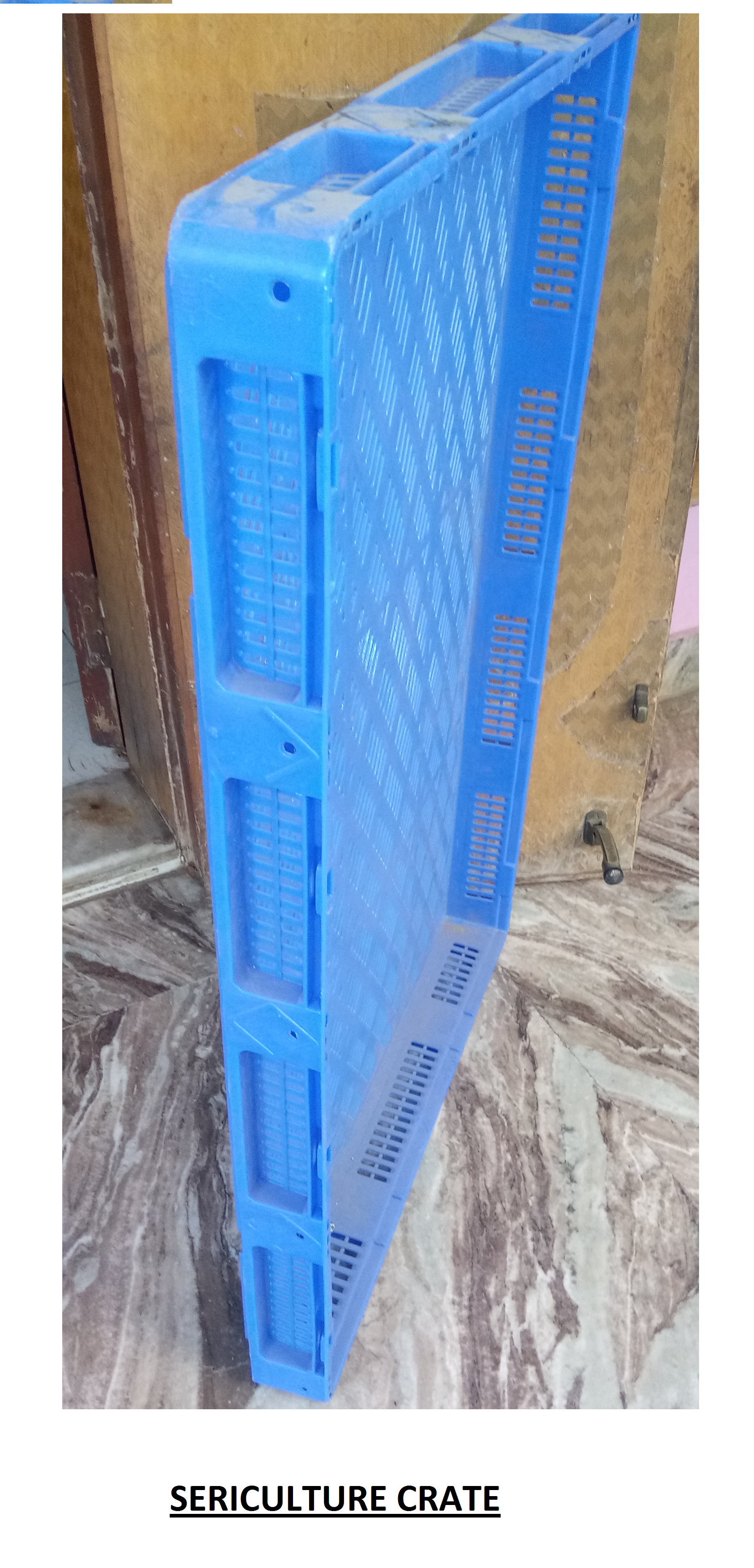 Sericulture Crates - Color: Blue