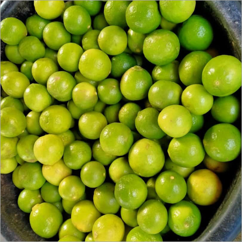 Fresh Lemon