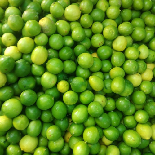 Fresh Lemon