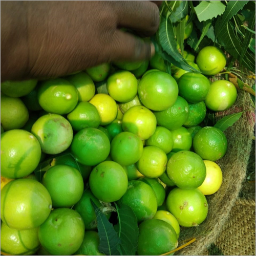 Fresh Lemon