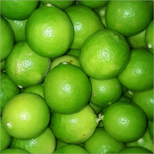 Fresh Lemon