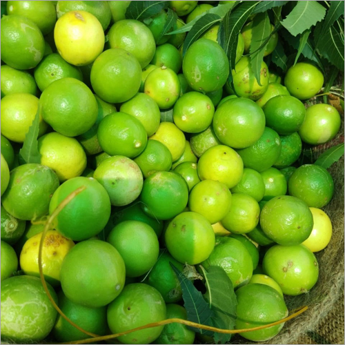Fresh Lemon