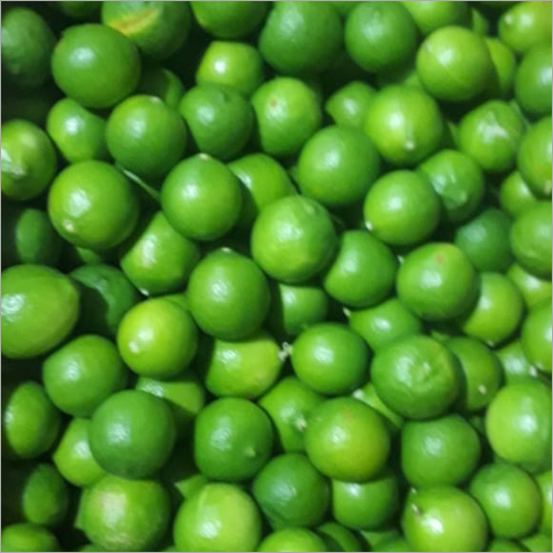 Fresh Lemon