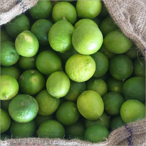 Fresh Lemon