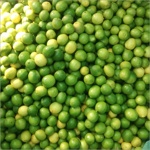 Fresh Lemon