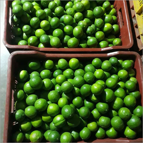 Fresh Lemon