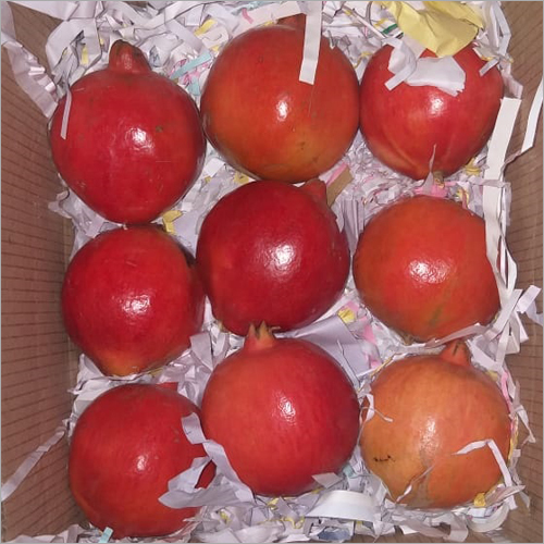 Red Pomegranate