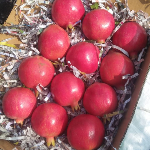 Red Pomegranate