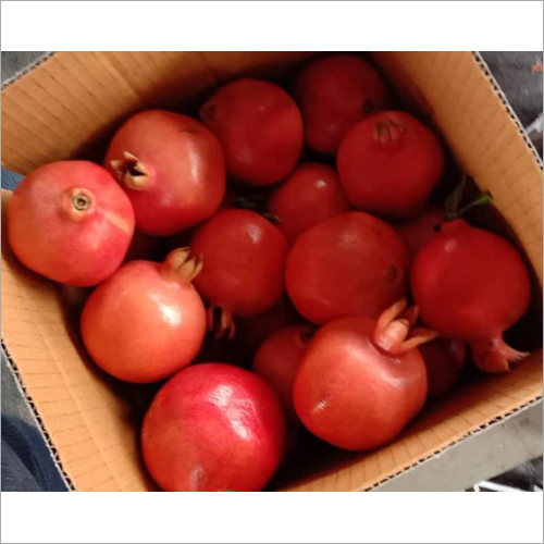 Red Pomegranate