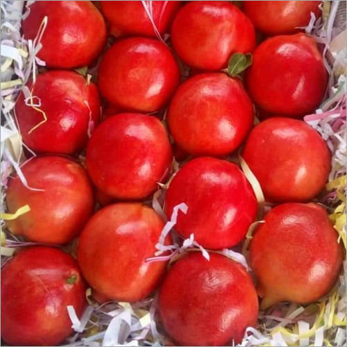 Red Pomegranate