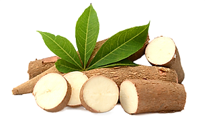 White Tapioca Native Starch