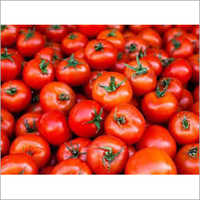 प्राकृतिक जैविक टमाटर