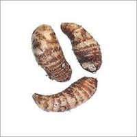 प्राकृतिक ऑर्गेनिक कोलोकैसिया