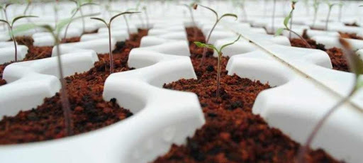 Coco Peat - 100% Organic, 0.05 G/cm3 Density | Eco-friendly, High Water Retention, Dark Brown Color