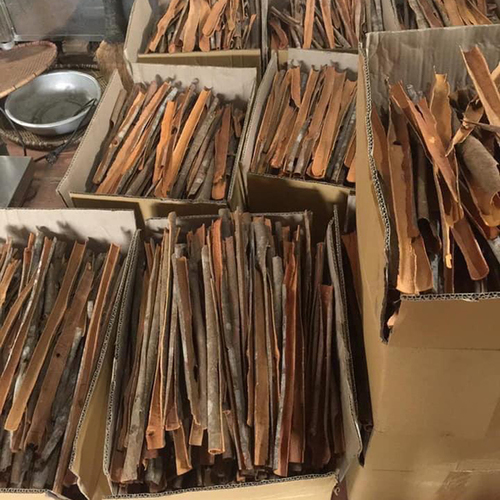 Brown Cinnamon Stick