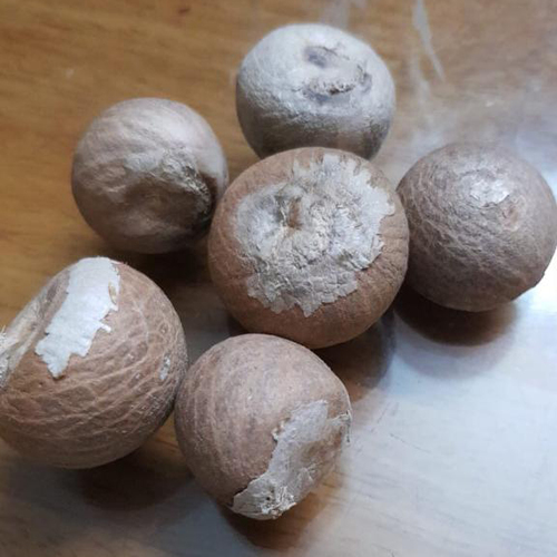 Areca Nut - Brown, Round Areca Nut | Store in Dry Place for Optimal Freshness