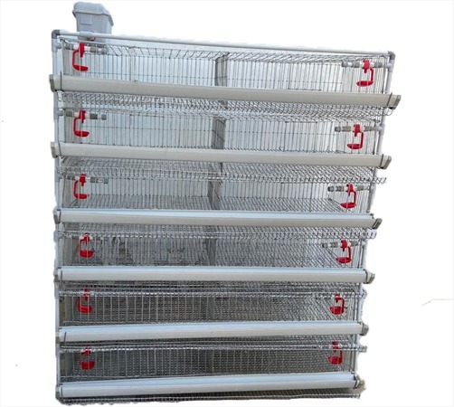 Polylite Quail Cage - Color: Gray