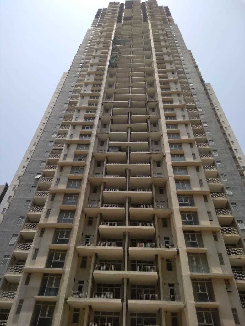 Dg Installation Service