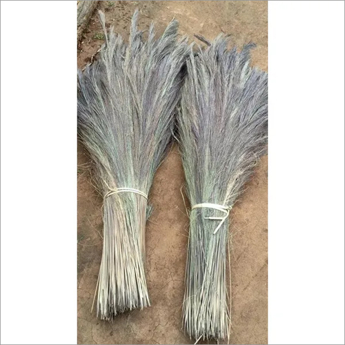 Grass Broom - Natural Grass Material, Light Brown Color | Ideal for Efficient Floor Cleaning