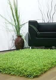 Plain Shaggy Carpet
