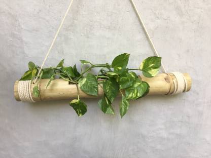 Coir Garden - Bamboo Hanging Planters With Adjustable Rope
