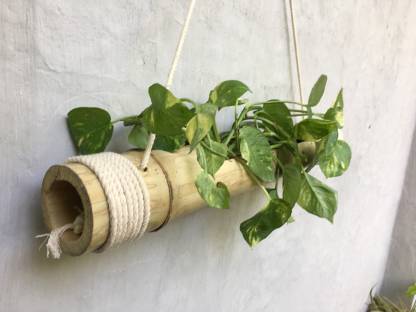 Coir Garden - Bamboo Hanging Planters With Adjustable Rope