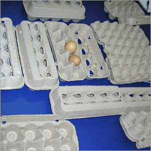 Mango Fruit Tray
