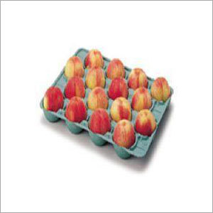 Apple Fruit Tray