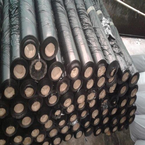 Mulching Paper - Plastic Mulch Film, 400 Mtr Length, 1-1.2 Mtr Width, Black, 25-100 Micron | Moisture Conservation, Weed Control, Soil Structure Maintenance