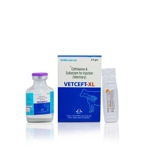 Vetceft - XL