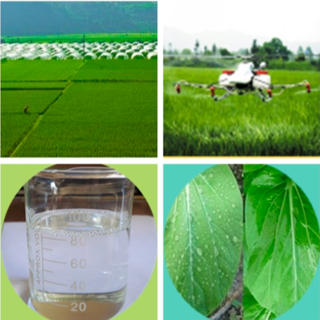 Silicone Spreader - 100% Soluble Liquid Adjuvant | Quick Release, Organic Fertilizer For Agriculture