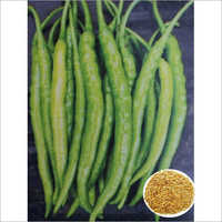 Sita Hybrid Chilli Seed
