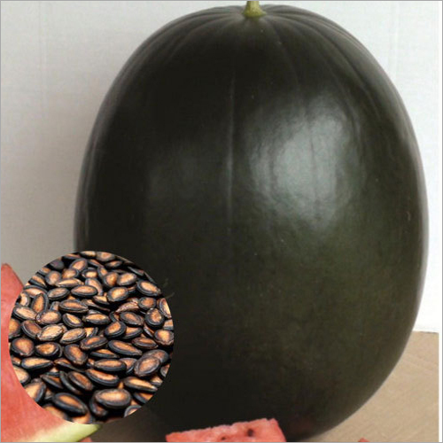 Hybrid Black Watermelon Seeds