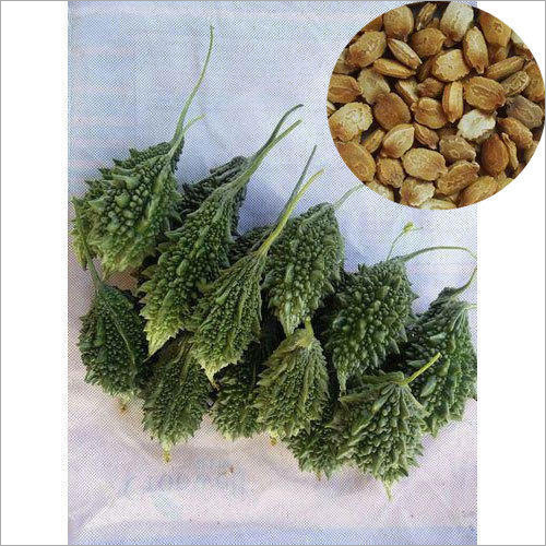 हाइब्रिड हरे करेले के बीज