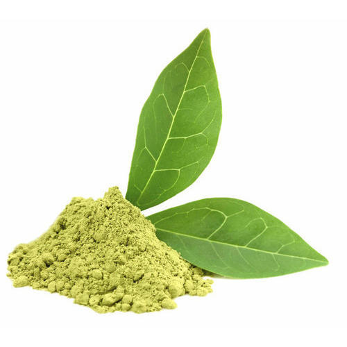 Green Tea Extract - Powder Form | Natural Source of Antioxidants, Versatile Culinary Ingredient, Ideal for Smoothies and Health Supplements