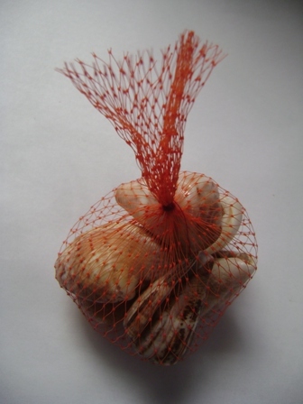 Natural Small And Big Size Mix Seashell For Handicraft And Aquarium Solid Surface