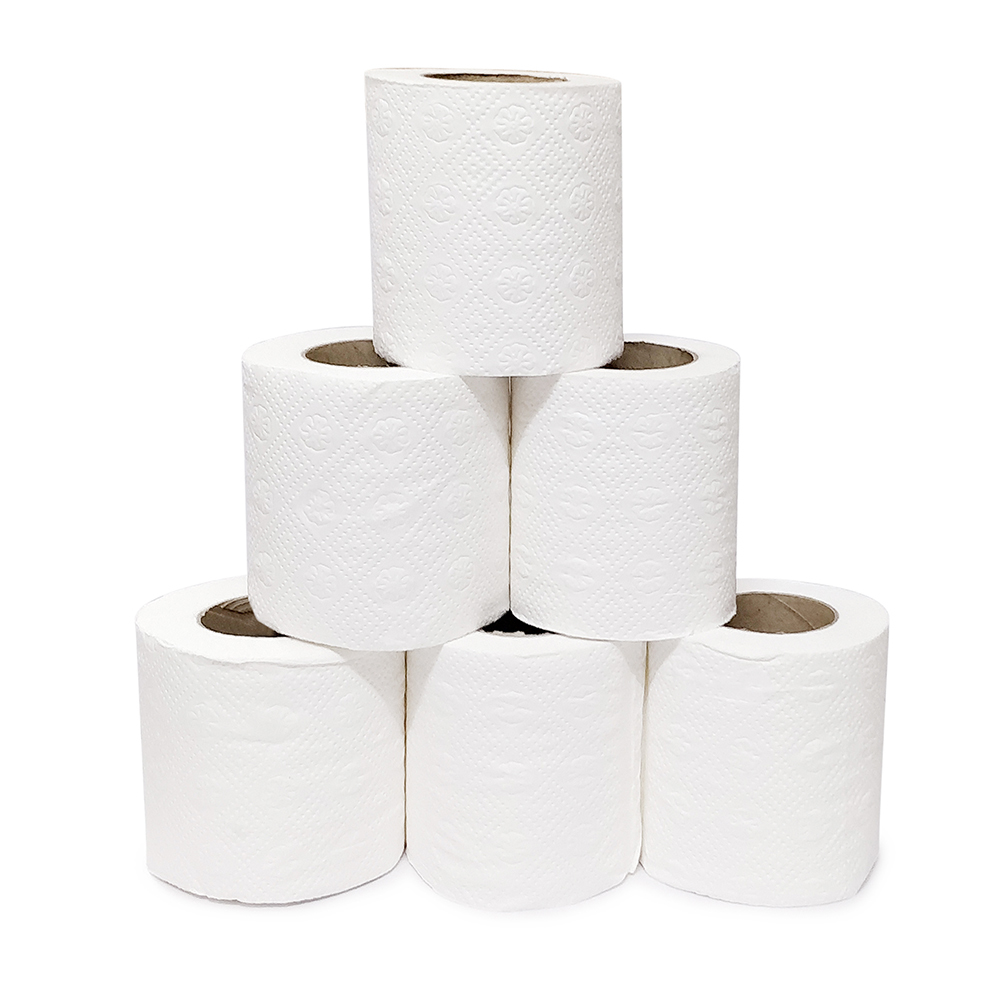 Primaxx Premium Quality Toilet Paper Roll 2 Ply 6 In 1 Value Pack Application: Home