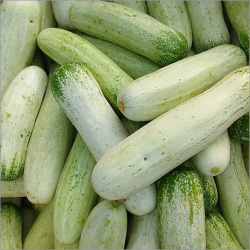 Fresh Cucumber