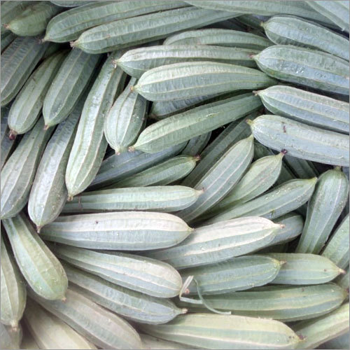 Ridge Gourd