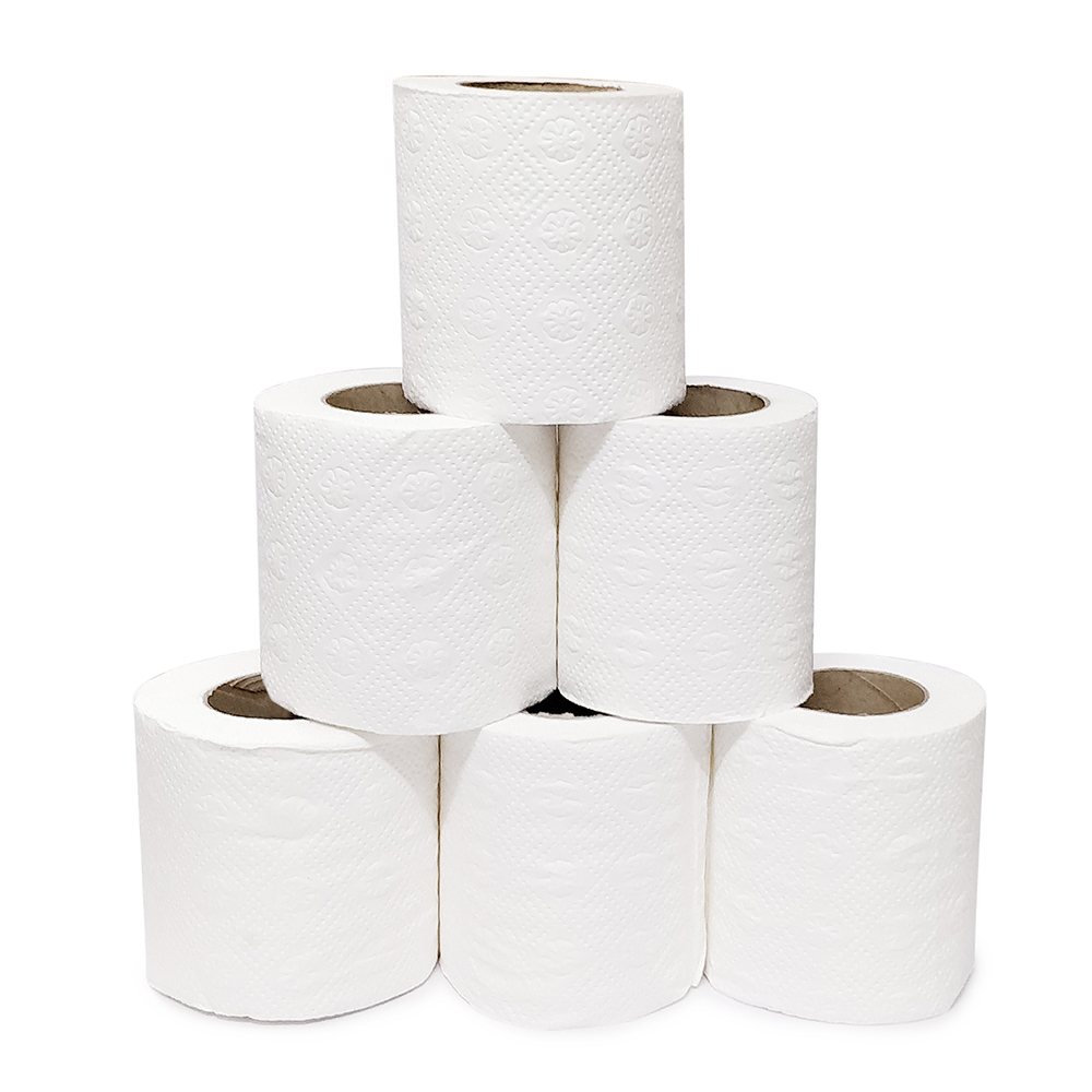 Primaxx Premium Quality Toilet Paper Roll (3 Ply) 6 In 1 Pack Application: Home