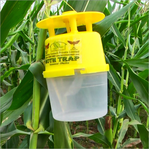 Moth Trap