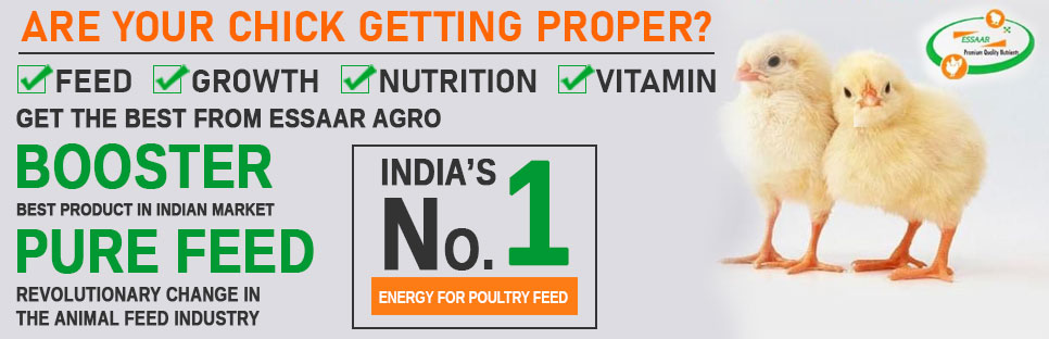 Animal Feed Manufacturer,Animal Feed Supplements Supplier,Exporter,India Animal Feed Manufacturer,Animal Feed Supplements Supplier,Exporter,India