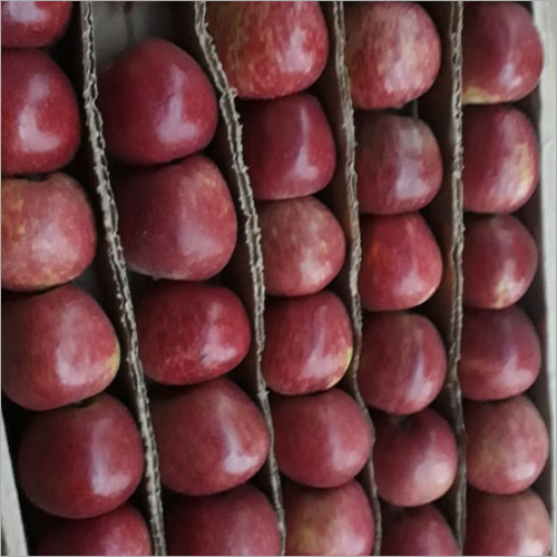 Red Apple - Organic Whole Fruit | Fresh Variety Natural Size & Shape Sweet Flavor Ideal For Desserts Juices And Salads