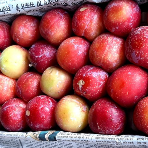 Organic Fresh Plum